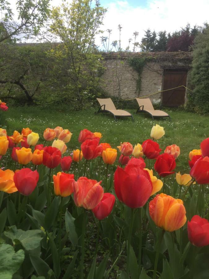 Le Clos Tilia Bed and Breakfast Cléry-Saint-André Exterior foto